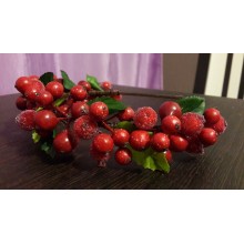Калина